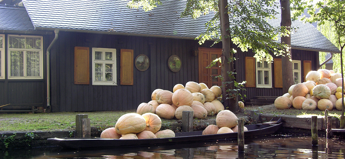 Oktoberangebot